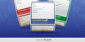 Synthetic, printed, self-adhesive labels on a roll