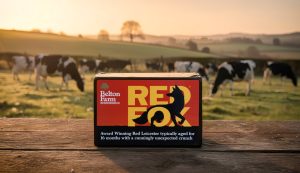 Red Fox Cheese from Belton Farm